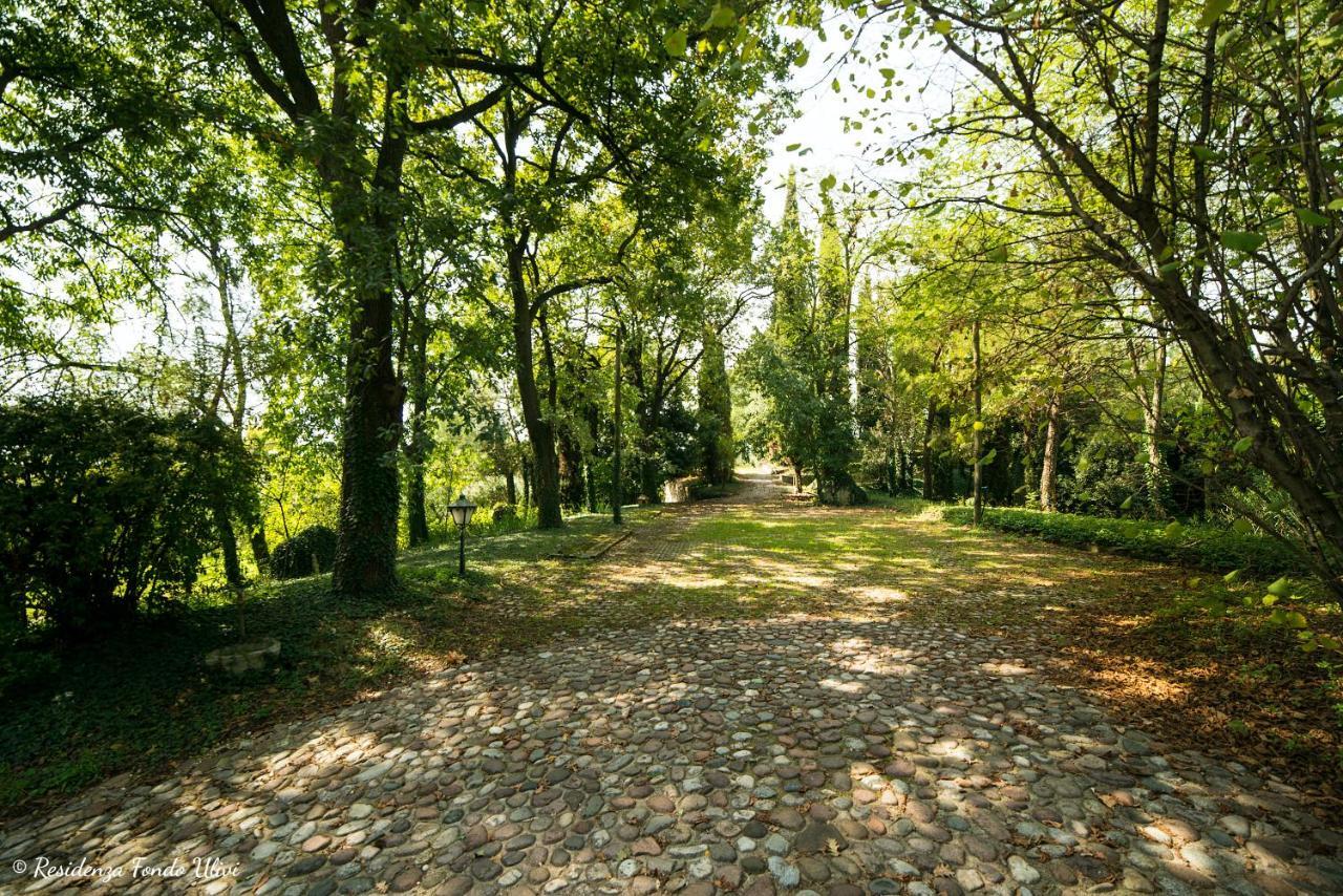 Вілла Residenza Fondo Ulivi Понті-суль-Мінчіо Екстер'єр фото